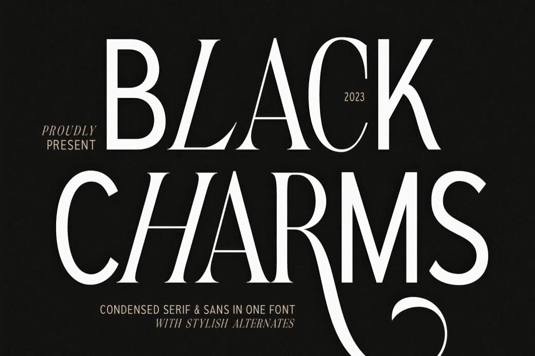 Давайте познакомимся с шрифтом Black Charms, который объединяет элегантность и современность. Этот шрифт идеально подходит для высокомодных проектов и утонченного дизайна упаковки.