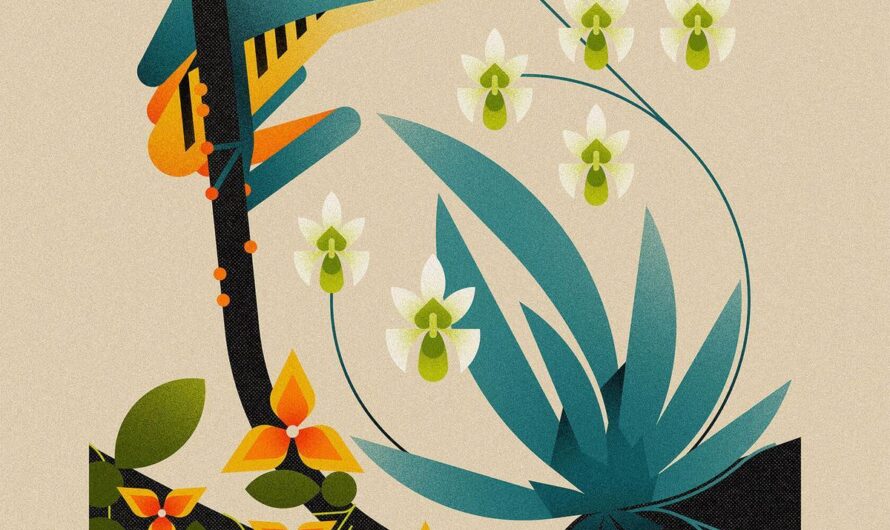 Вдохновение из природы: яркие иллюстрации Эммы Клинтон 🌼🎨