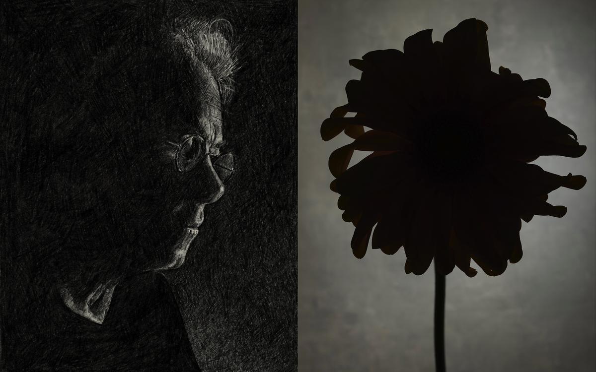 Two Craigs: 31/52