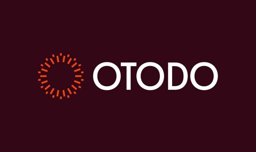 Брендинг как искусство: как OTODO меняет правила игры в графическом дизайне