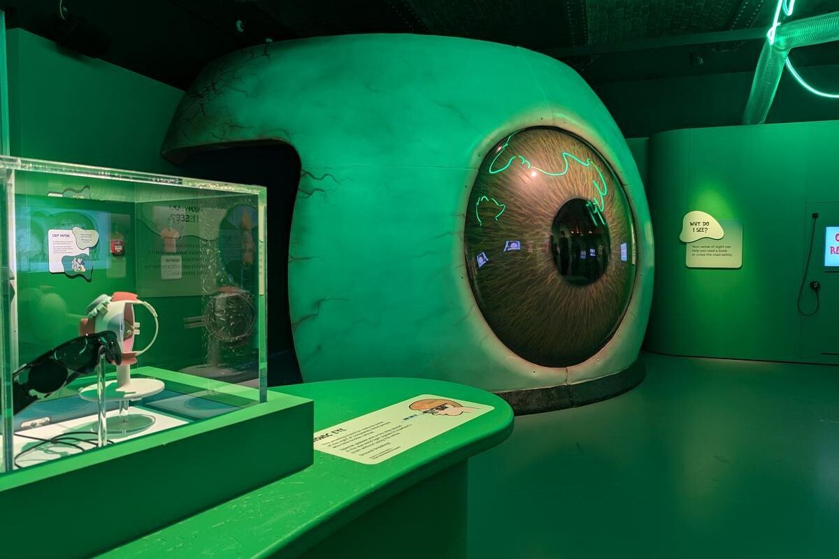 Drinkall Dean and Kit Studio transform kids’ TV show into “gross” exhibition
