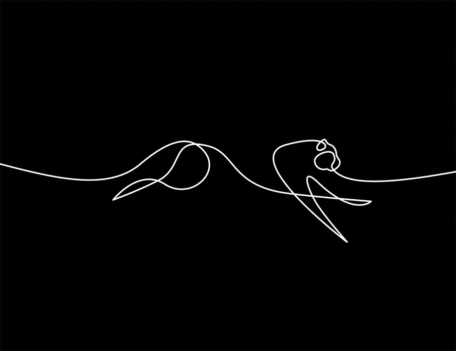 Wildlife in Motion: One-Line Motion Design