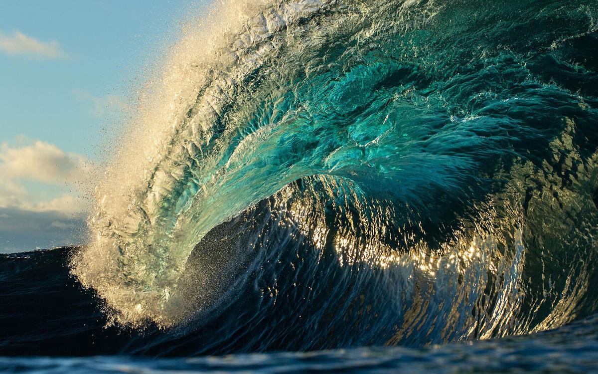 Сердце океана: увлекательные фото Франа Родригеса 🌊📸