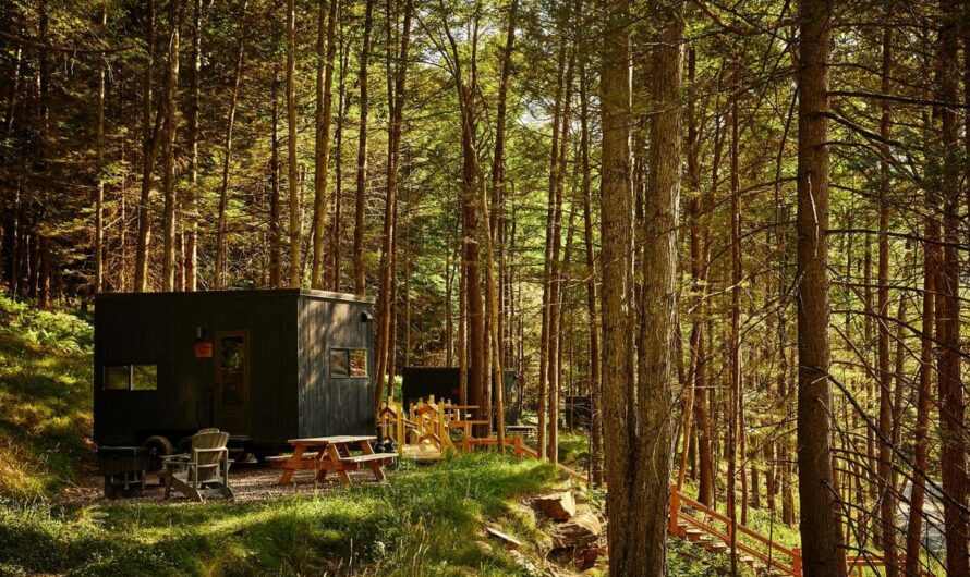 Marriott Bonvoy Outdoors: Дизайн-хаки для твоих travel-приключений 🏞️